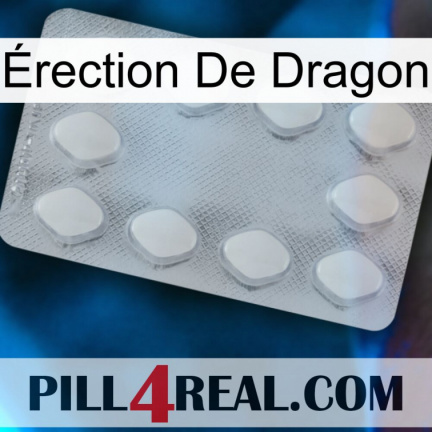 Érection De Dragon 16